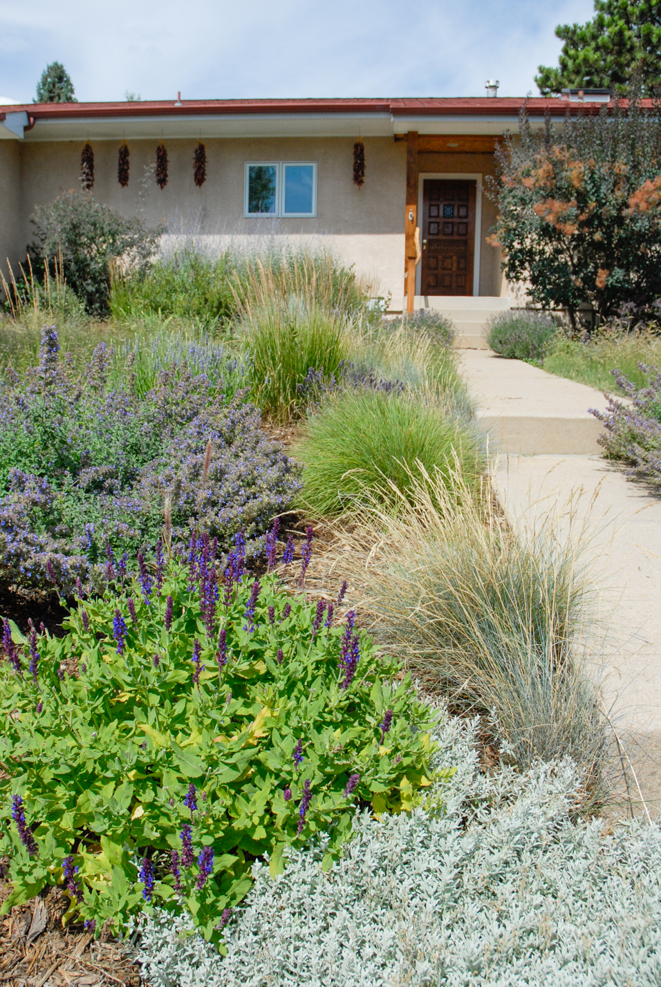 Southwest Spin Xeriscape